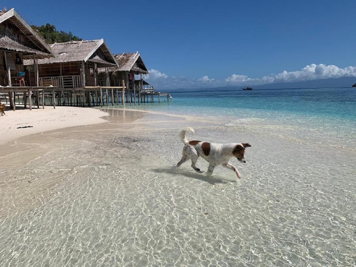 Nus Homestay Raja Ampat Kri Eksteriør billede